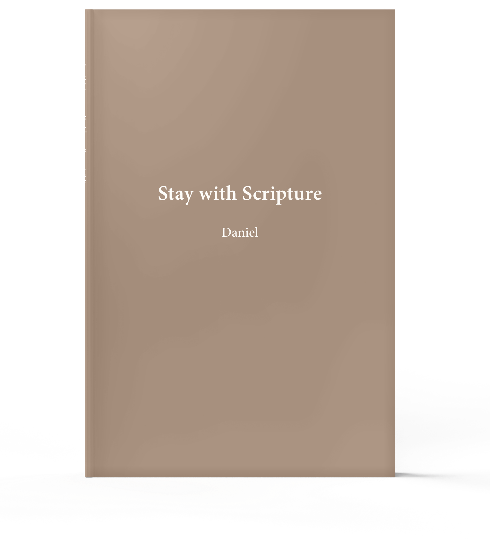Daniel journal cover